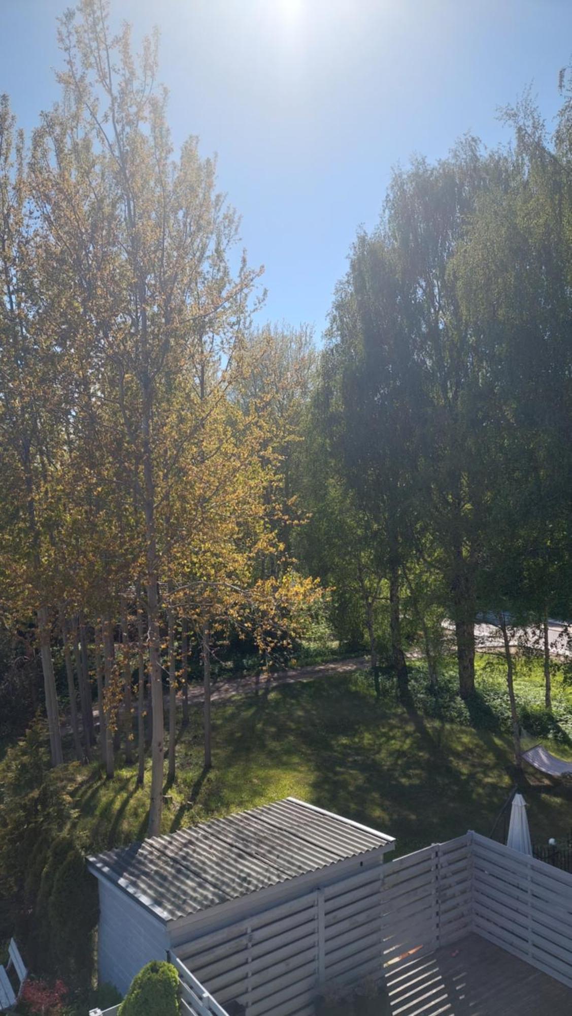 Pas Rasa Hotel Palanga Eksteriør billede
